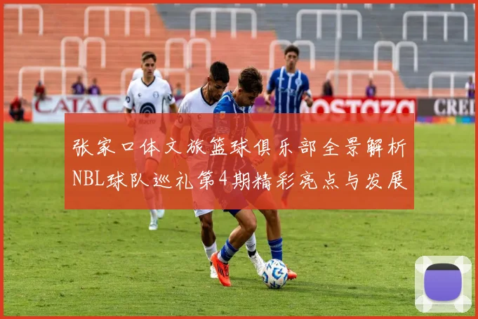 张家口体文旅篮球俱乐部全景解析NBL球队巡礼第4期精彩亮点与发展前景
