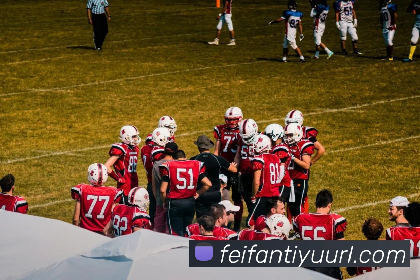 非凡体育平台生态图